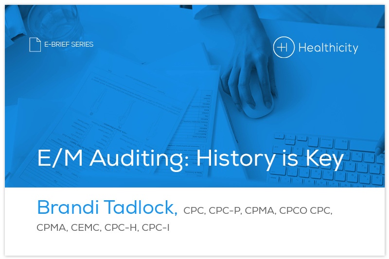 audit-history_is_key-ebrief-lander