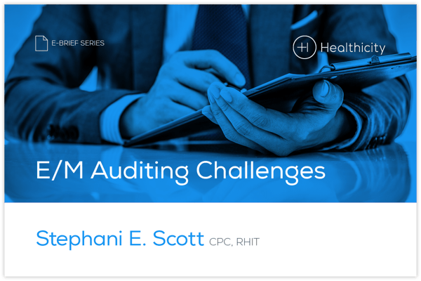 em_audit_challenges