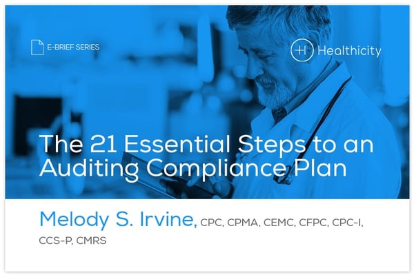 audit-21_steps_to_audting-ebrief