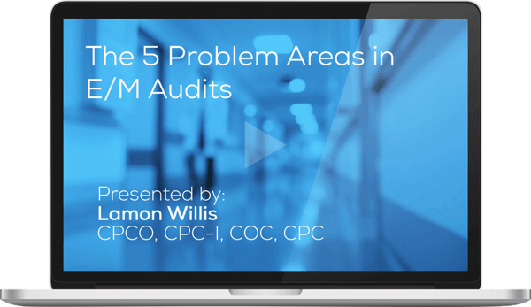 audit-5-problem-areas-webinar” caption=