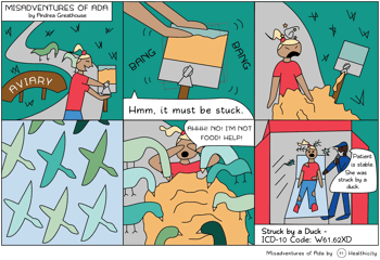 Ada - Struck by a Duck - high res-01