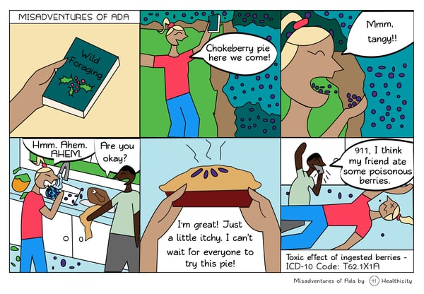 Wild Foraging: The Misadventures of Ada