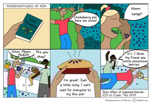 Ada - WIld Foraging low res