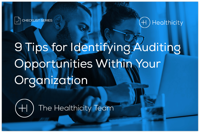 9 auditing tips - lander