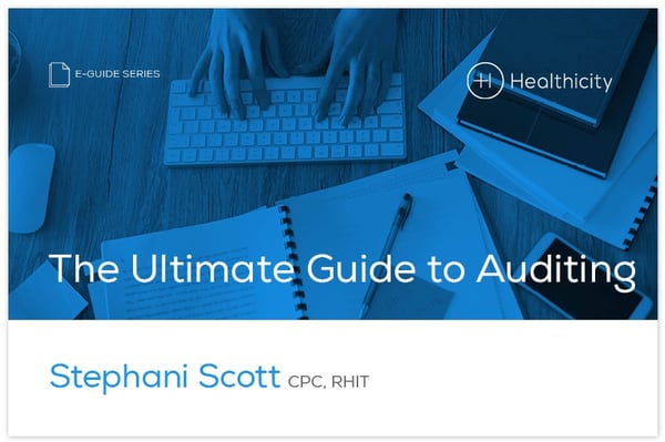 The Ultimate Guide to Auditing eGuide Cover