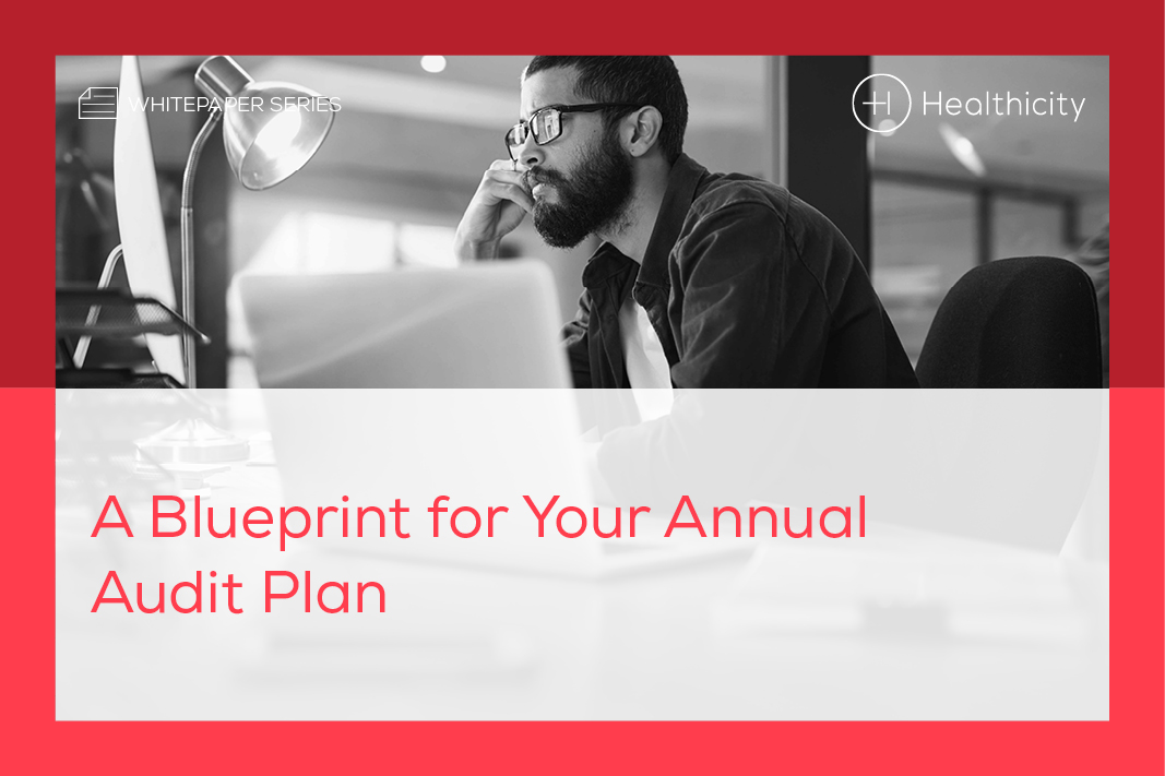 Download the White Paper - A Blueprint for Your Annual Audit Plan