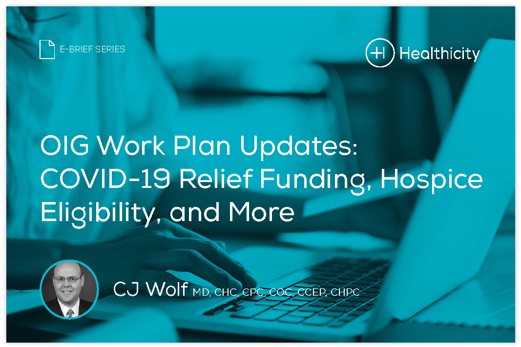 Download the eBrief - OIG Work Plan Updates: COVID Relief Funding, Hospice Eligibility, And More